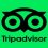 TripAdvisor bans horse racing tickets over animal welfare concerns
